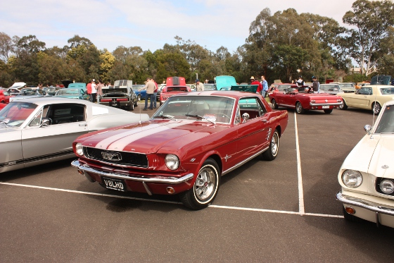 My 1966 Ford Mustang - David Evans