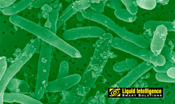 Biomass Bug Liquid Intelligence Diesel Biocide Biomass Bug Liquid Intelligence Diesel Biocide