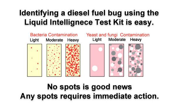 Microbial Field Test Kit Results Liquid Intelligence Diesel Biocide Microbial Field Test Kit Results Liquid Intelligence Diesel Biocide